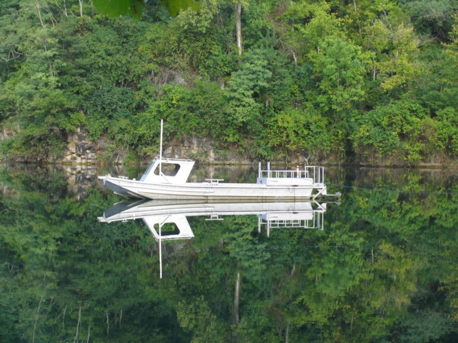 Mermet Springs Boat