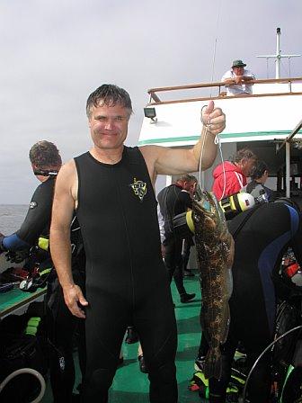 Channel Islands 2008