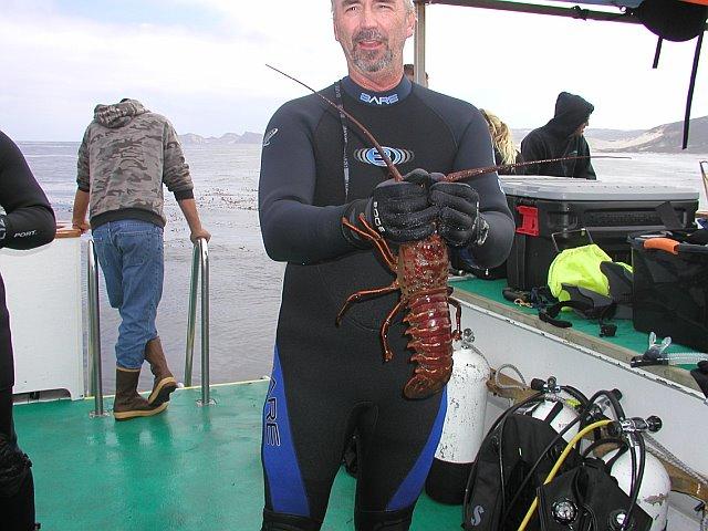2008 C I Lobster