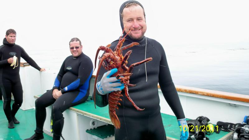 Lobster Channel islands 2011