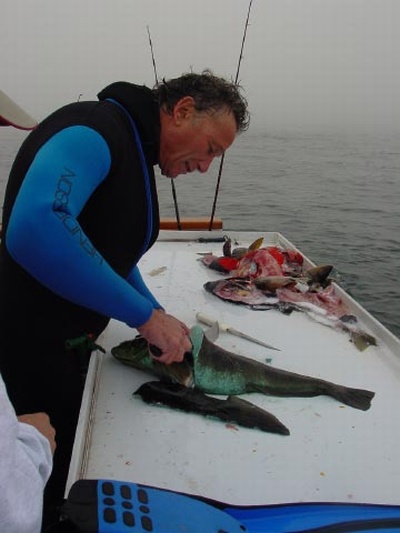 Channel Islands 2006