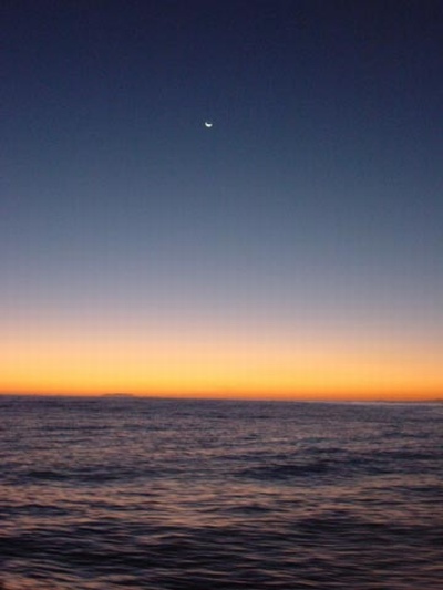 Channel Islands 2006