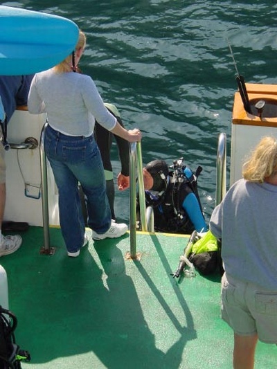 Channel Islands 2006