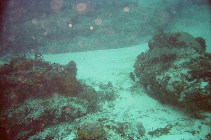 Santa Rosa Wall, Cozmel, Mexico