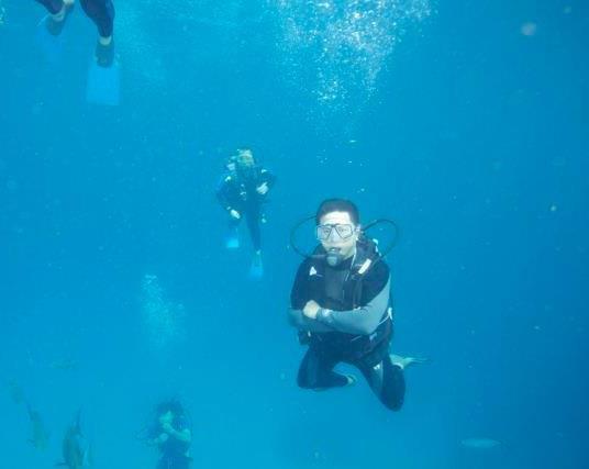 Diving with Sharks at the Bahamas