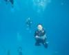 Diving with Sharks at the Bahamas