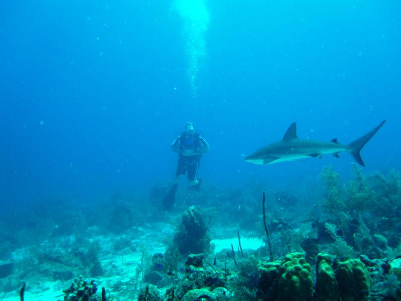 Wheres my dive buddy? NW Point- Grand Turk, TCI