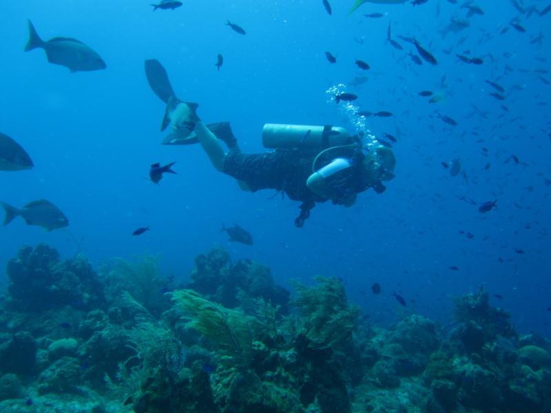 NW Poiint Grand Turk, TCI wall dive