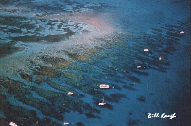 looe key reef