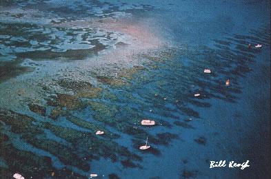 looe key reef