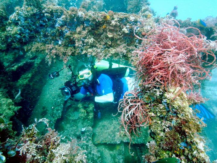 Me Inside WW2 Shipwreck