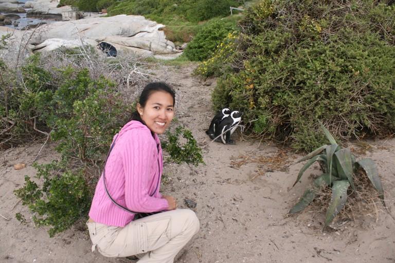 Say HI to the African (jackass) penguins 