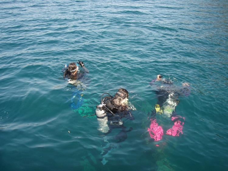 East Tangat Gun Boat - the wreck`s outline quite visible - Coron, Palawan 