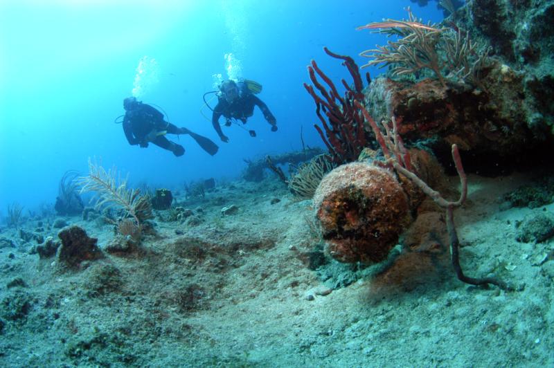 Wreck of Rhone cannon