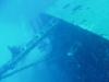 Bonaire Hilma Hooker wreck