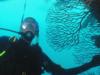 Me at a reef in Key Largo