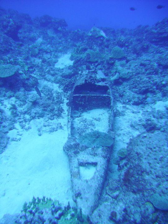 Not sure what this is- Gun Beach Guam