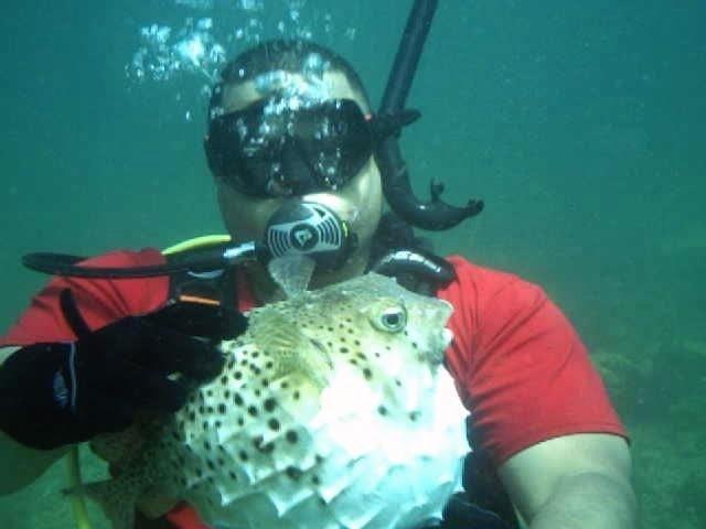Me and a porcupine fish 