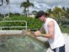 Grand Cayman Turtle Farm