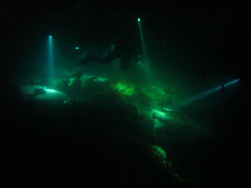 Night dive in Maldives... Looks like we’ve landed on the moon!