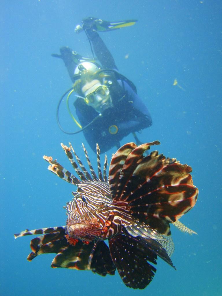 My Buddy & Friendly Lion Fish on a Safety Stop