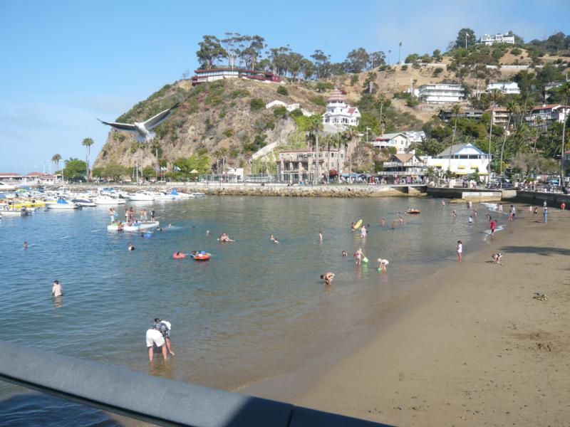 Avalon @ Catalina Island