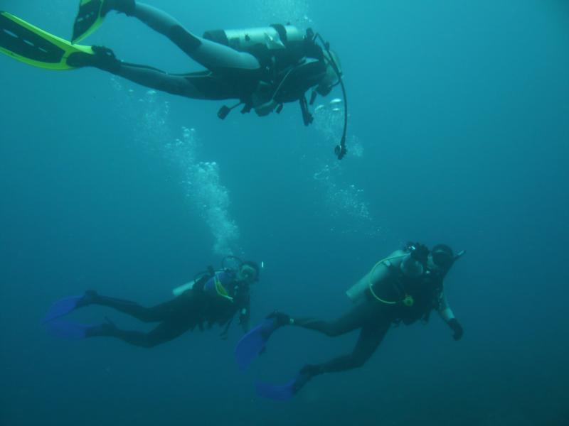 Dive Buddies!