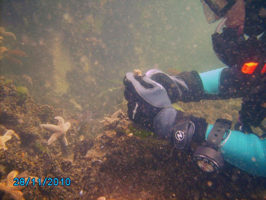 At the bridge, feeding the fish