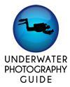 Underwater Photography Guide