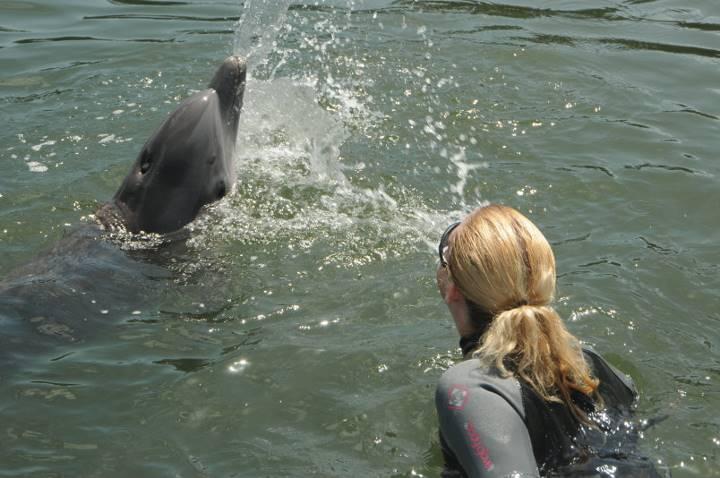 Dolphin Spit Contest :p 2011 Marathon, FL Dolphin Research Center