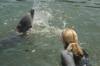 Dolphin Spit Contest :p 2011 Marathon, FL Dolphin Research Center