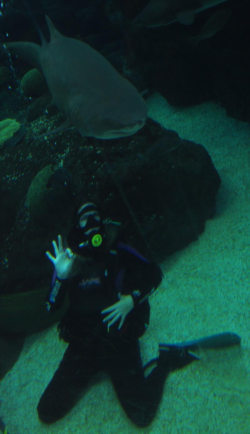FL Aquarium Shark Dive 7/17/11