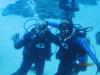 Dive with Whale Sharks in Atlanta