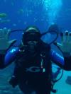 Atlanta Aquarium Dive