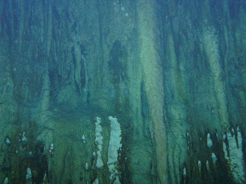 cave dive Mexico