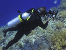 Red Sea