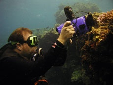 Rinca, Indonesia