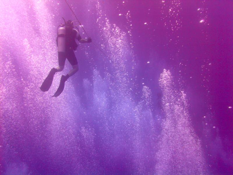 Taken during a dive to the Sea Tiger, Oahu Hawaii