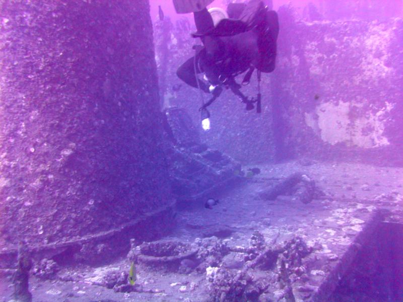 Taken during a dive to the Sea Tiger, Oahu Hawaii