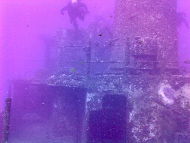 Taken during a dive to the Sea Tiger, Oahu Hawaii