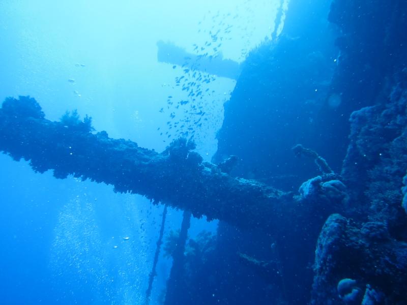 Numidia wreck in the red sea 2011