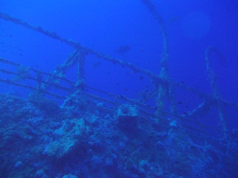 Numidia wreck in the red sea 2011