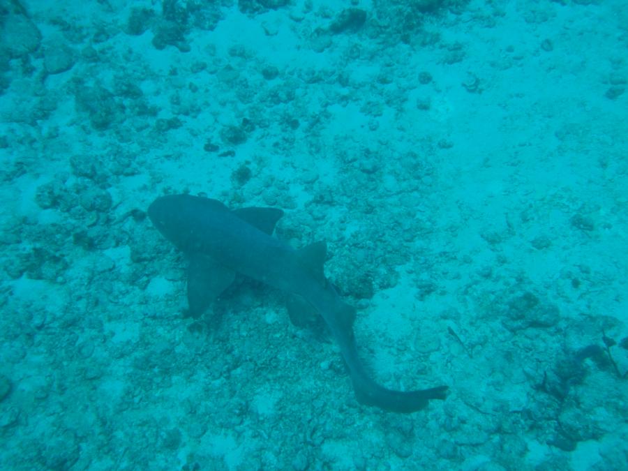 Bayahibe, Dominican Republic