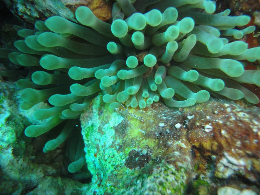 Bayahibe, Dominican Republic