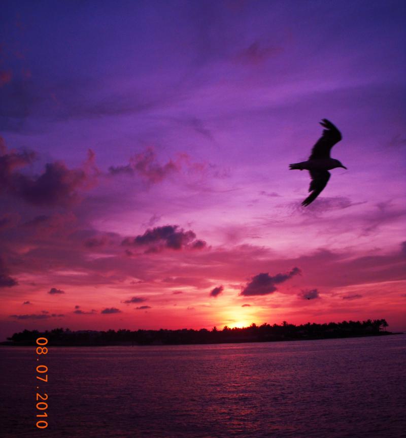 sunset at Mallory Square, Key west