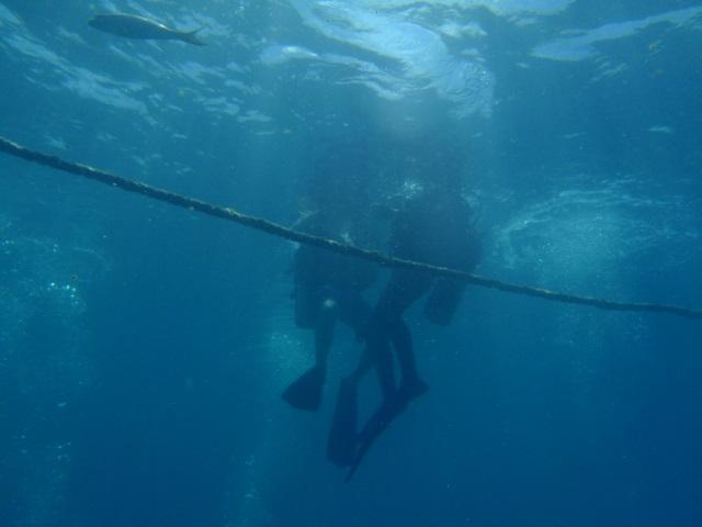 diving instruction