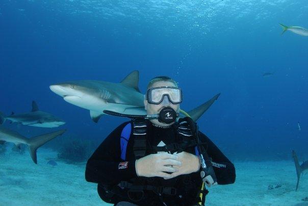 Stuart Cove’s Shark Arena