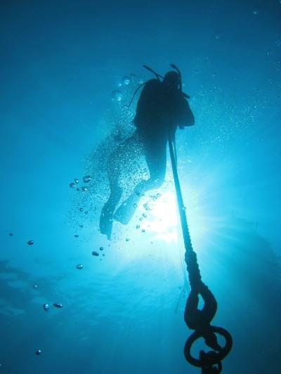 Diving in Ohau