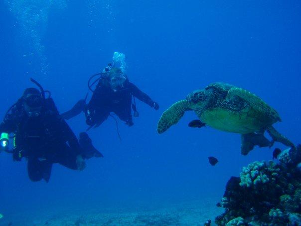 Jamie and Tim Hernandez diving with a local on the Big Island