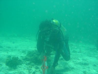 during our research